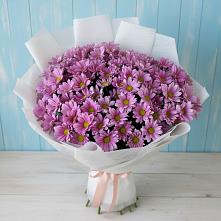 Букет цветов из:  Хризантемы #REPLACE_PRED# Ак-Довураке