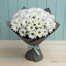 Букет цветов из:  Хризантемы #REPLACE_PRED# Ак-Довураке